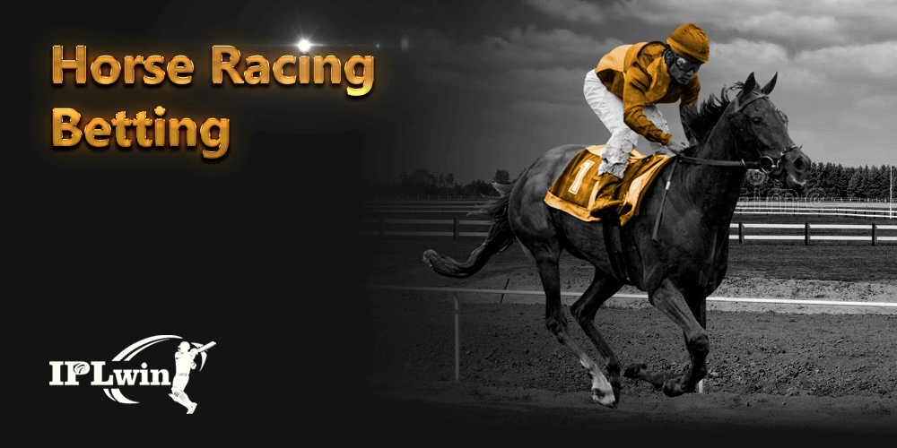 7bets