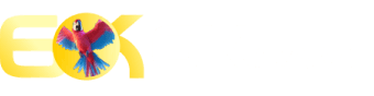 Da classificação da série a - Bet3333