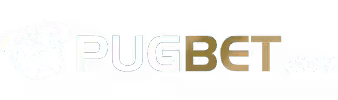 P9.com login - Brcaio